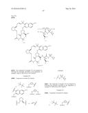 MACROCYCLIC PROLINE DERIVED HCV SERINE PROTEASE INHIBITORS diagram and image