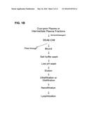 PREPARATION AND COMPOSITION OF INTER-ALPHA INHIBITOR PROTEINS FROM BLOOD diagram and image