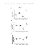 HUMAN ANTIBODIES BINDING TO RSV G PROTEIN diagram and image