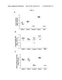 HUMAN ANTIBODIES BINDING TO RSV G PROTEIN diagram and image