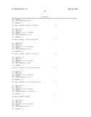 HUMAN ANTIBODIES BINDING TO RSV G PROTEIN diagram and image