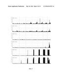 HUMAN ANTIBODIES BINDING TO RSV G PROTEINS diagram and image