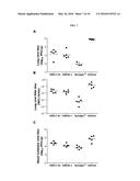 HUMAN ANTIBODIES BINDING TO RSV G PROTEINS diagram and image