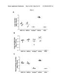 HUMAN ANTIBODIES BINDING TO RSV G PROTEINS diagram and image