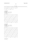 HUMAN ANTIBODIES BINDING TO RSV G PROTEINS diagram and image