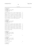 HUMAN ANTIBODIES BINDING TO RSV G PROTEINS diagram and image