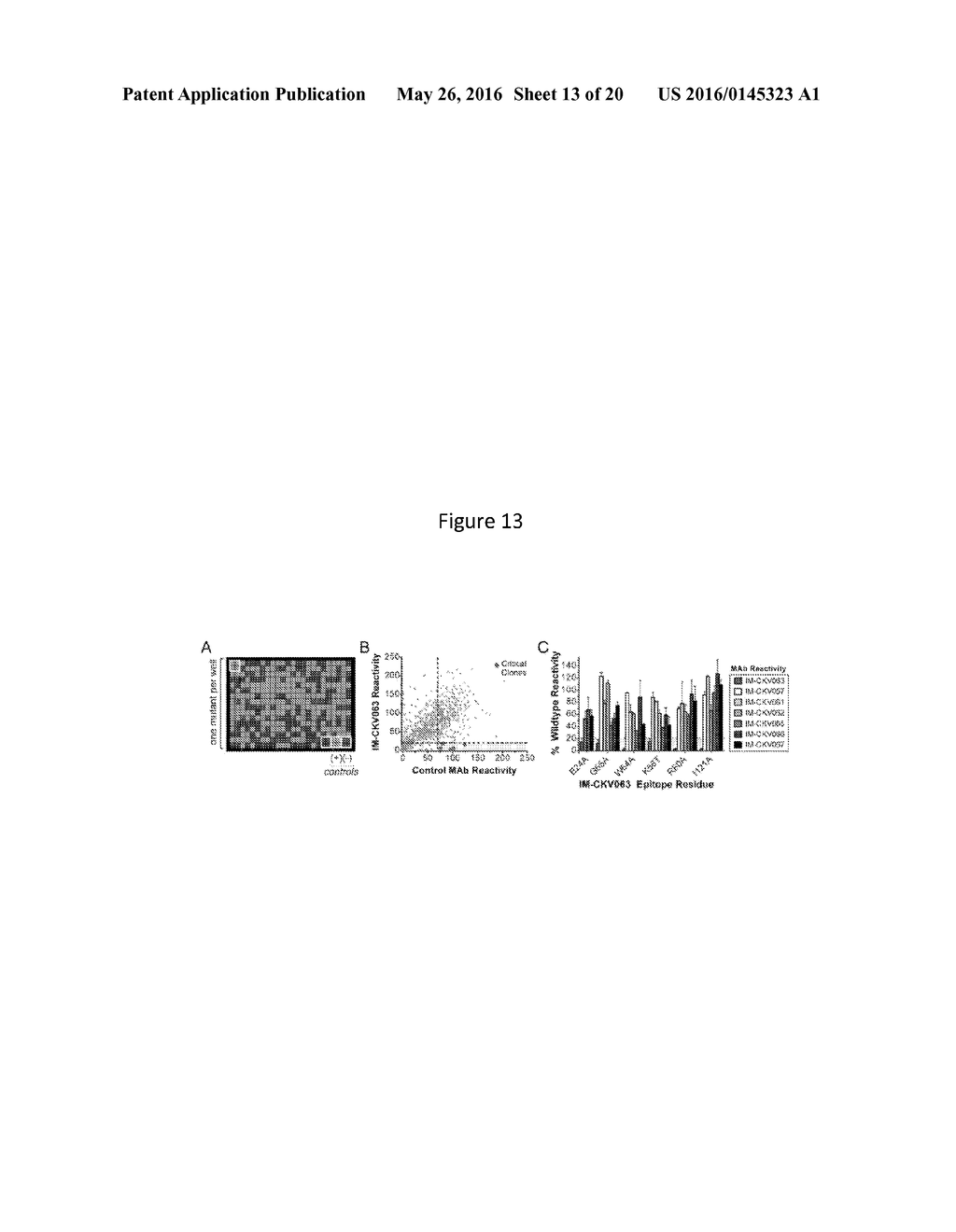 ANTIBODIES AGAINST CHIKUNGUNYA VIRUS AND USES THEREOF - diagram, schematic, and image 14