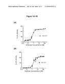 ANGIOPOIETIN-LIKE 4 ANTIBODIES AND METHODS OF USE diagram and image