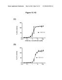 ANGIOPOIETIN-LIKE 4 ANTIBODIES AND METHODS OF USE diagram and image