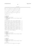 ANGIOPOIETIN-LIKE 4 ANTIBODIES AND METHODS OF USE diagram and image