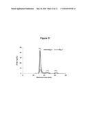 ANGIOPOIETIN-LIKE 4 ANTIBODIES AND METHODS OF USE diagram and image