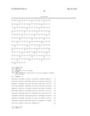 ANGIOPOIETIN-LIKE 4 ANTIBODIES AND METHODS OF USE diagram and image