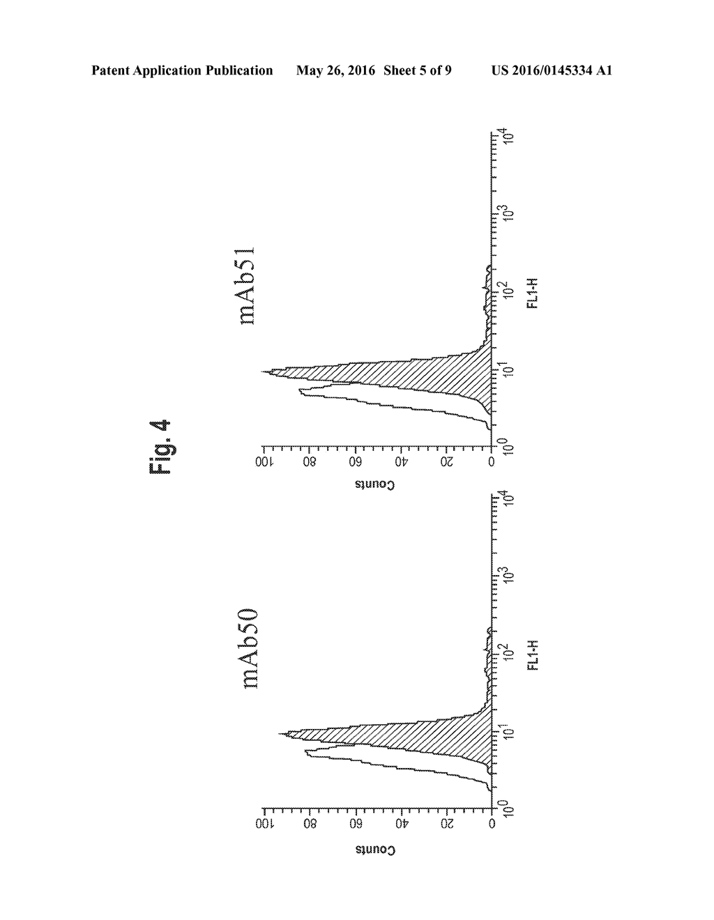 NEUTRALIZING MONOCLONAL ANTIBODIES AGAINST THE NOGO-66 RECEPTOR (NgR) AND     USES THEREOF - diagram, schematic, and image 06