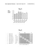 NEUTRALIZING MONOCLONAL ANTIBODIES AGAINST THE NOGO-66 RECEPTOR (NgR) AND     USES THEREOF diagram and image