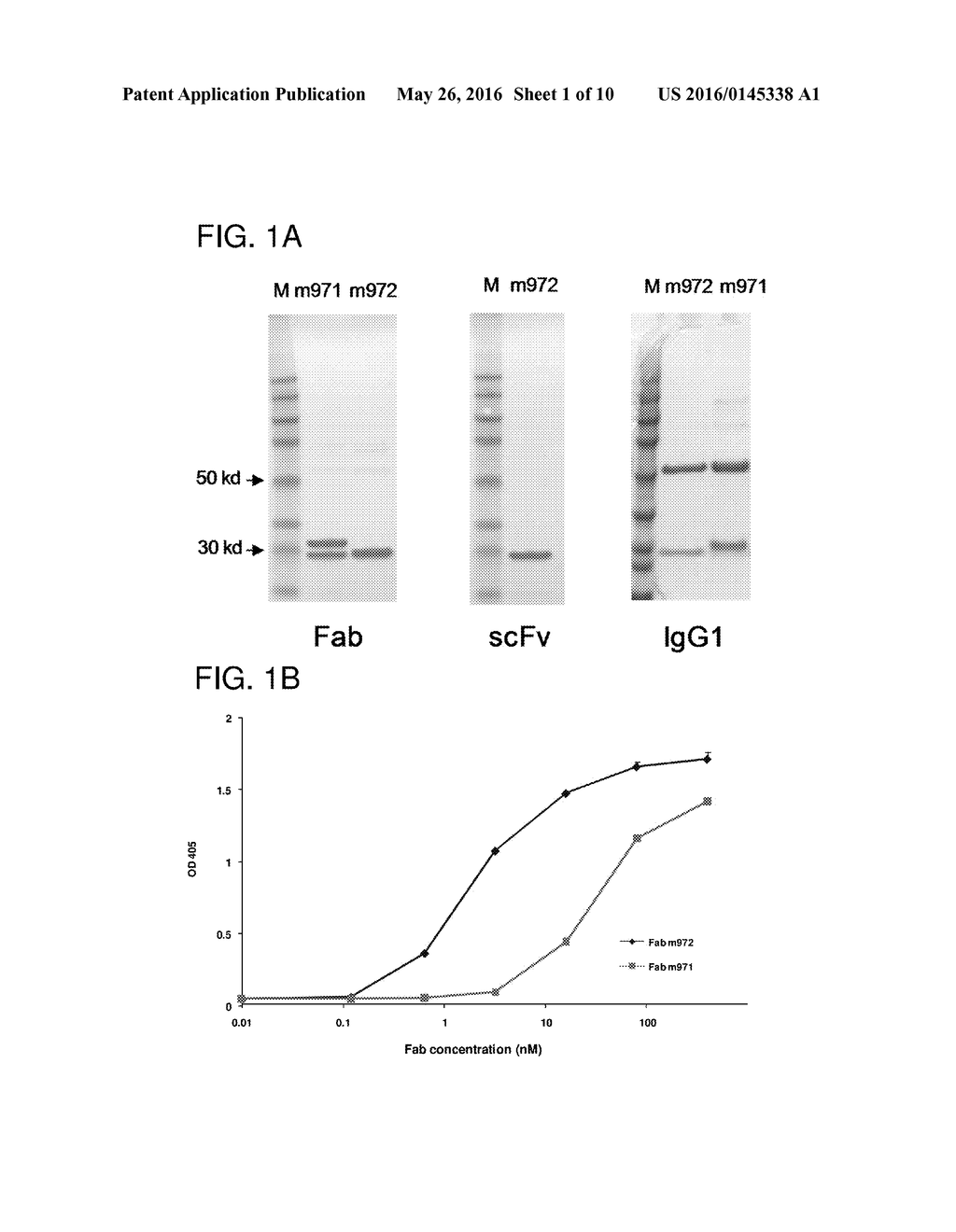 HUMAN MONOCLONAL ANTIBODIES SPECIFIC FOR CD22 - diagram, schematic, and image 02