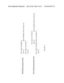 Anti-Prostate Cancer Antibodies and Methods of Detection and Treatment of     Prostate Cancer diagram and image