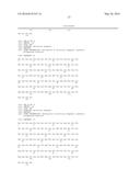 Anti-Prostate Cancer Antibodies and Methods of Detection and Treatment of     Prostate Cancer diagram and image