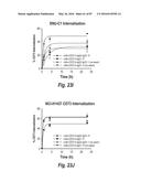 ANTIBODIES AGAINST CD73 AND USES THEREOF diagram and image