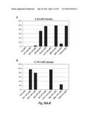 ANTIBODIES AGAINST CD73 AND USES THEREOF diagram and image