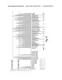 ANTIBODIES AGAINST CD73 AND USES THEREOF diagram and image