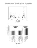 ANTIBODIES AGAINST CD73 AND USES THEREOF diagram and image