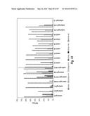 ANTIBODIES AGAINST CD73 AND USES THEREOF diagram and image