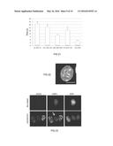 CAMELID SINGLE HEAVY-CHAIN ANTIBODY DIRECTED AGAINST CHROMATIN AND USES OF     SAME diagram and image