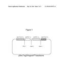 BISPECIFIC ANTIBODIES diagram and image