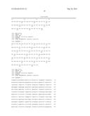 BISPECIFIC ANTIBODIES diagram and image