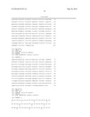 BISPECIFIC ANTIBODIES diagram and image