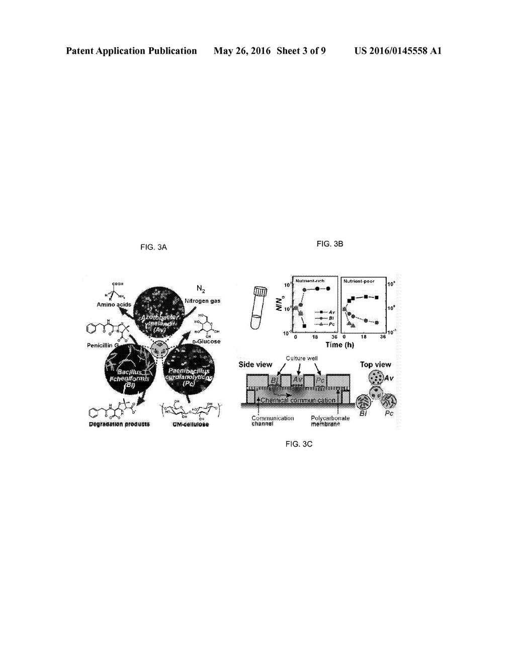 CO-INCUBATING CONFINED MICROBIAL COMMUNITIES - diagram, schematic, and image 04