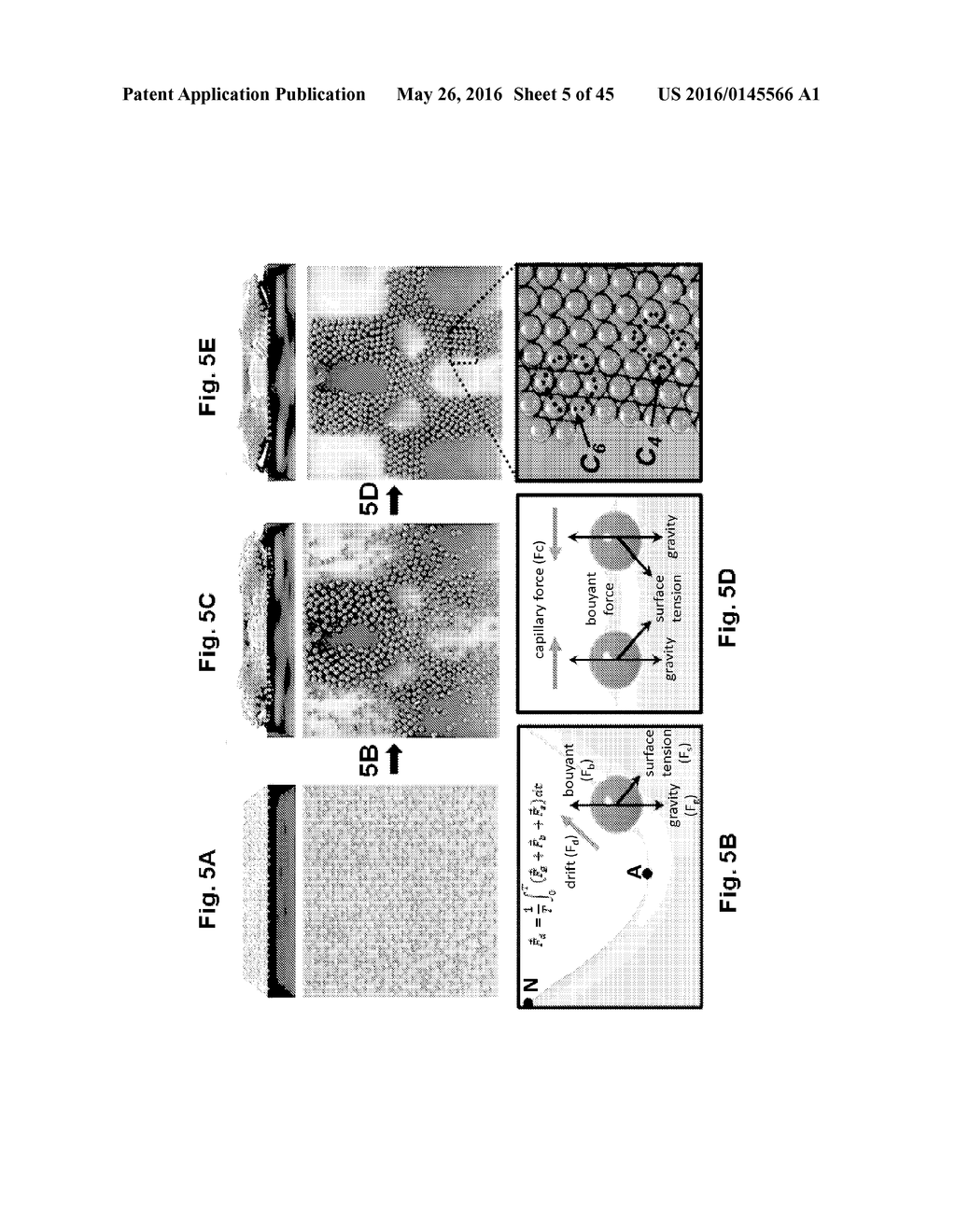 RECONFIGURABLE ASSEMBLY WITH FARADAY WAVE-BASED TEMPLATES - diagram, schematic, and image 06