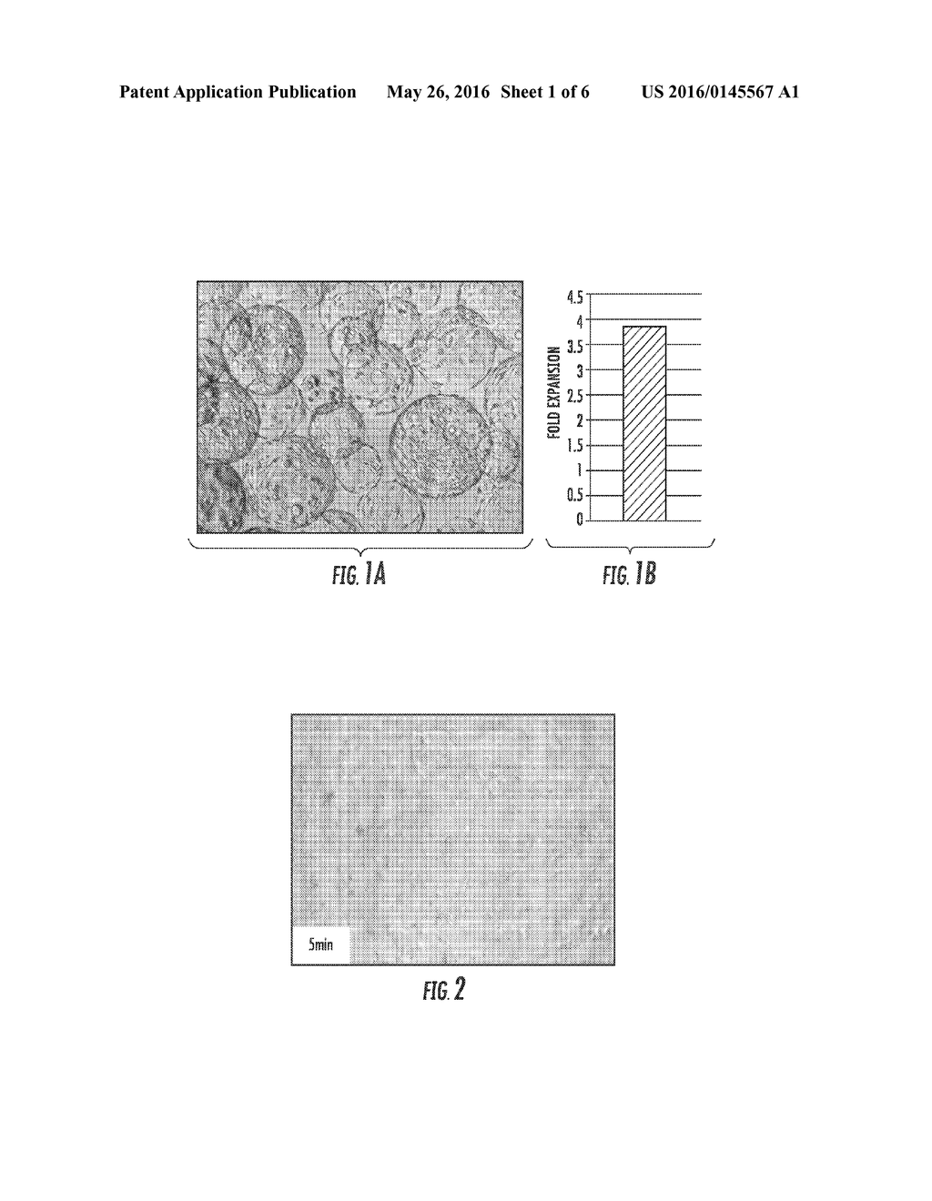 CELL CULTURE ARTICLE AND METHODS THEREOF - diagram, schematic, and image 02