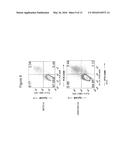 Differentiated Pluripotent Stem Cell Progeny Depleted of Extraneous     Phenotypes diagram and image