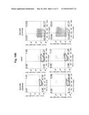 Differentiated Pluripotent Stem Cell Progeny Depleted of Extraneous     Phenotypes diagram and image