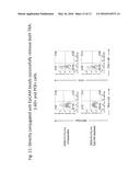 Differentiated Pluripotent Stem Cell Progeny Depleted of Extraneous     Phenotypes diagram and image