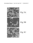 METHODS OF PRODUCING STEM CELL CONDITIONED MEDIA diagram and image