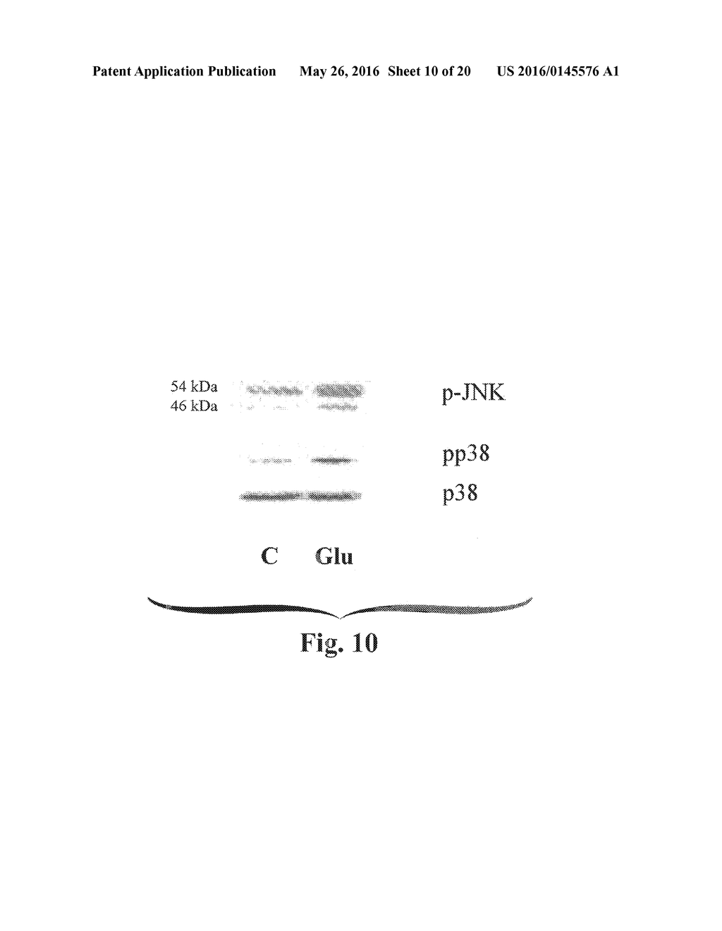 METHODS OF PRODUCING STEM CELL CONDITIONED MEDIA - diagram, schematic, and image 11