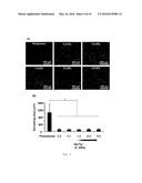 METHOD OF CULTURING CANCER STEM CELLS diagram and image