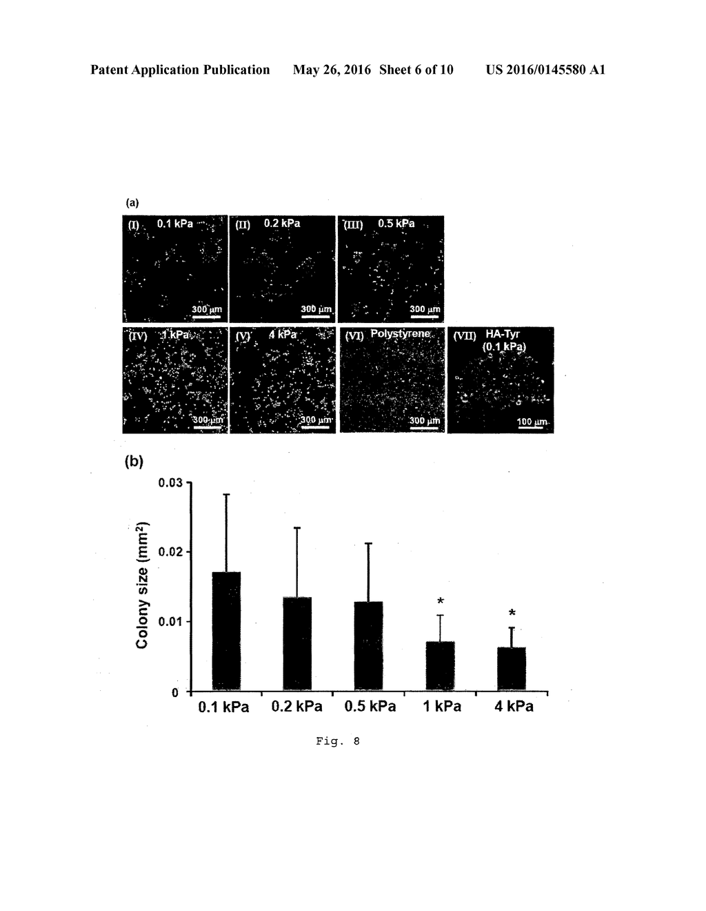 METHOD OF CULTURING CANCER STEM CELLS - diagram, schematic, and image 07