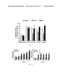 METHOD OF CULTURING CANCER STEM CELLS diagram and image