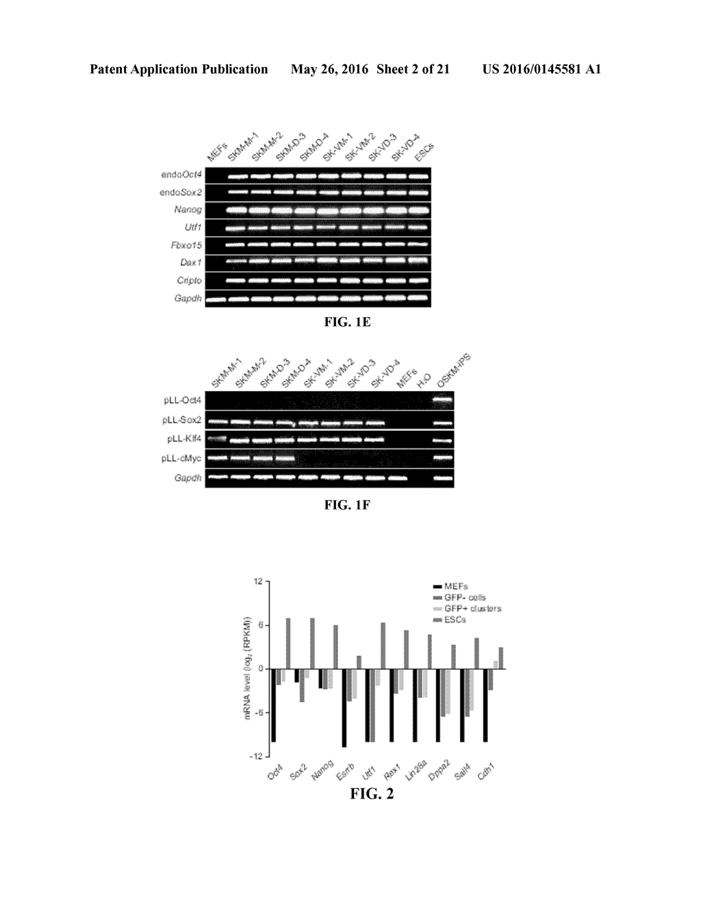 COMPOSITIONS AND METHODS FOR REPROGRAMING NON-PLURIPOTENT CELLS INTO     PLURIPOTENT STEM CELLS - diagram, schematic, and image 03