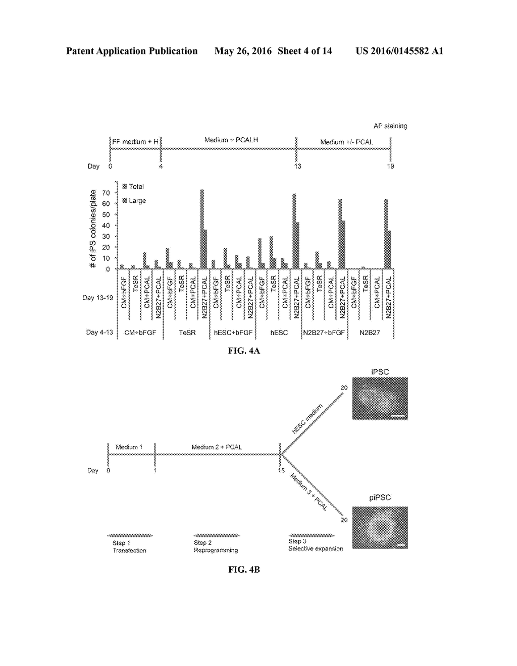 EPISOMAL REPROGRAMMING WITH CHEMICALS - diagram, schematic, and image 05