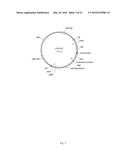 MUTATED REP ENCODING SEQUENCES FOR USE IN AAV PRODUCTION diagram and image