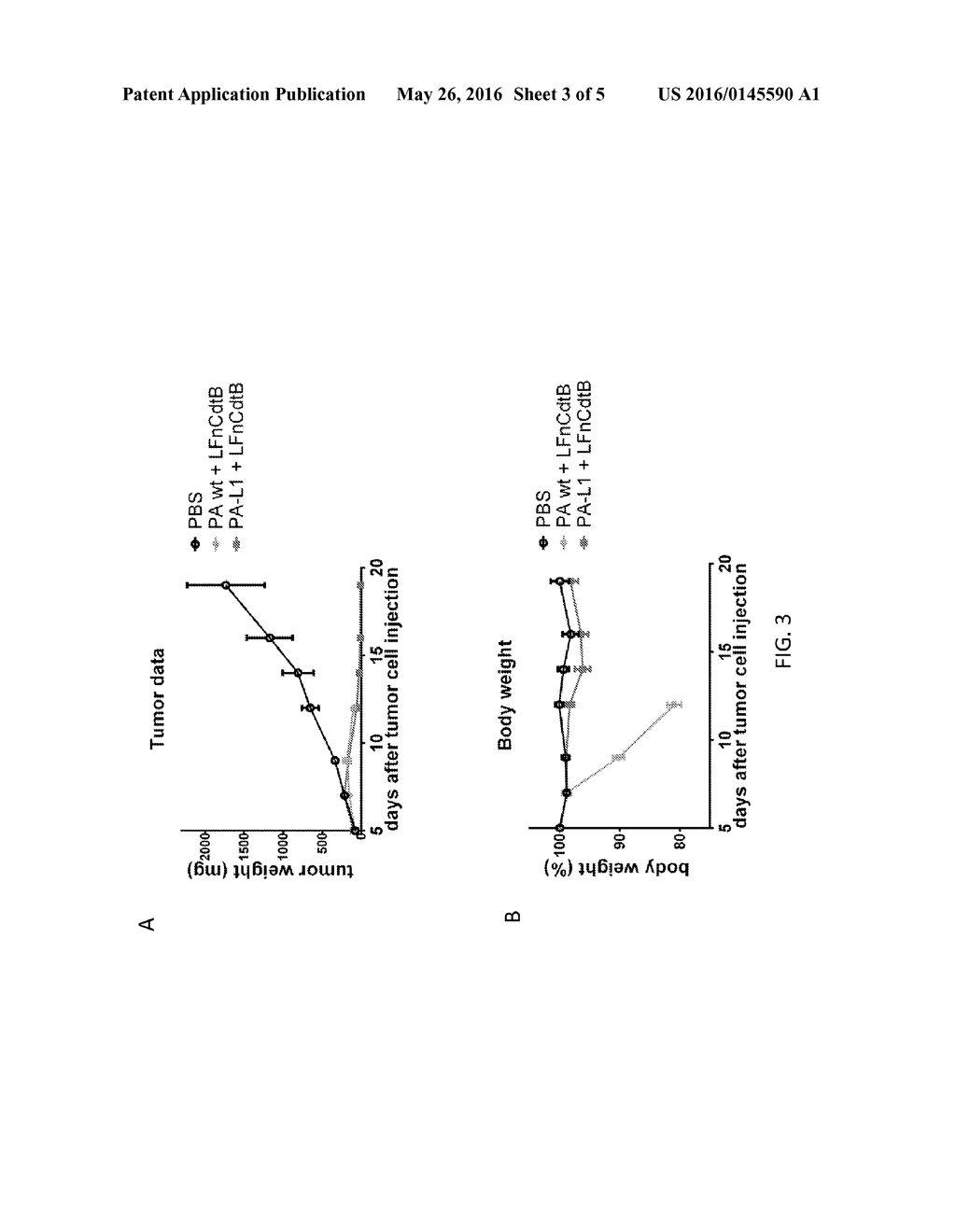 CYTOLETHAL DISTENDING TOXIN SUBUNIT B CONJUGATED OR FUSED TO BACILLUS     ANTHRACIS TOXIN LETHAL FACTOR - diagram, schematic, and image 04