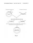 HEPARIN AFFINITY TAG AND APPLICATIONS THEREOF diagram and image