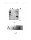 HEPARIN AFFINITY TAG AND APPLICATIONS THEREOF diagram and image