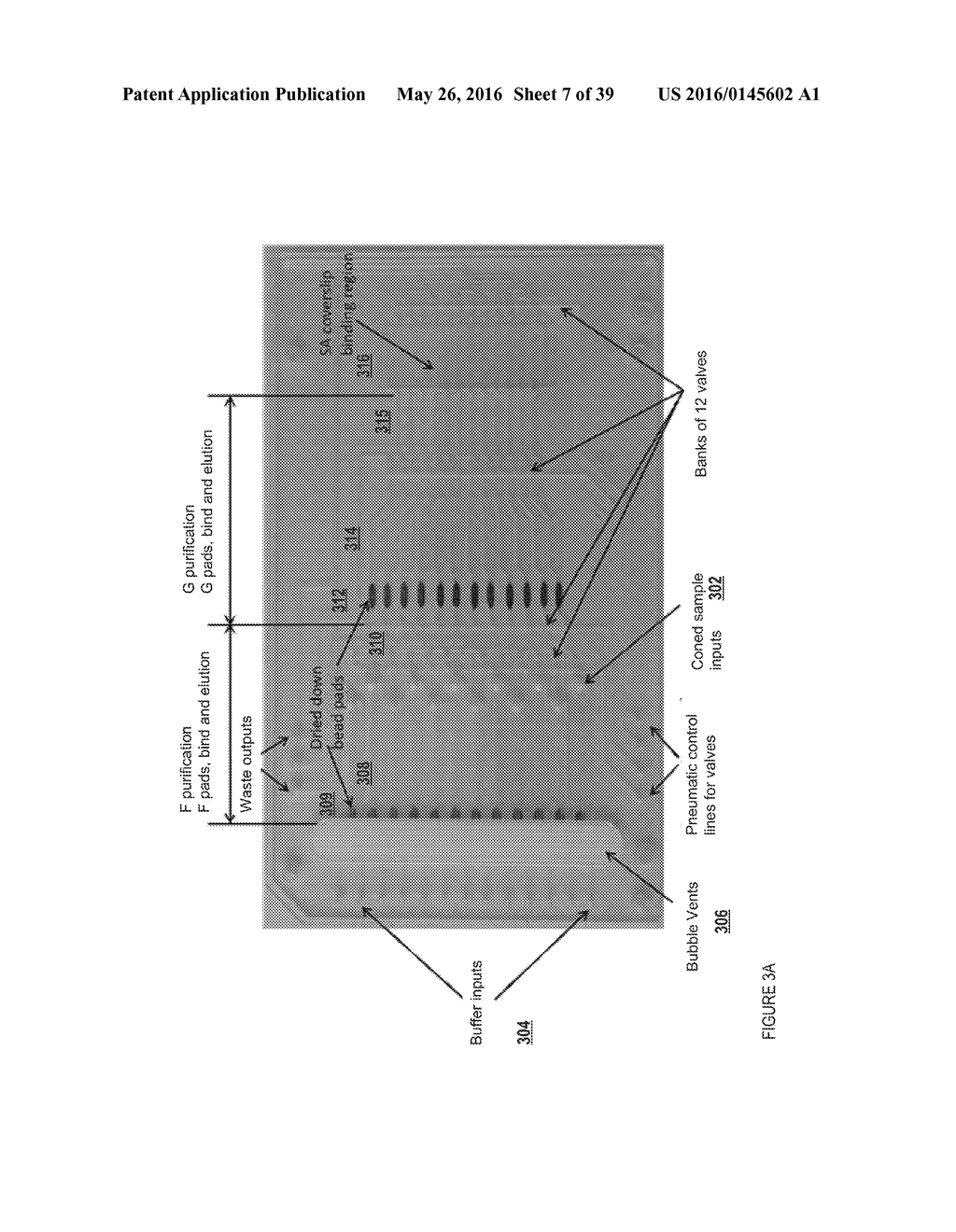 METHODS AND APPARATUSES FOR GENE PURIFICATION AND IMAGING - diagram, schematic, and image 08