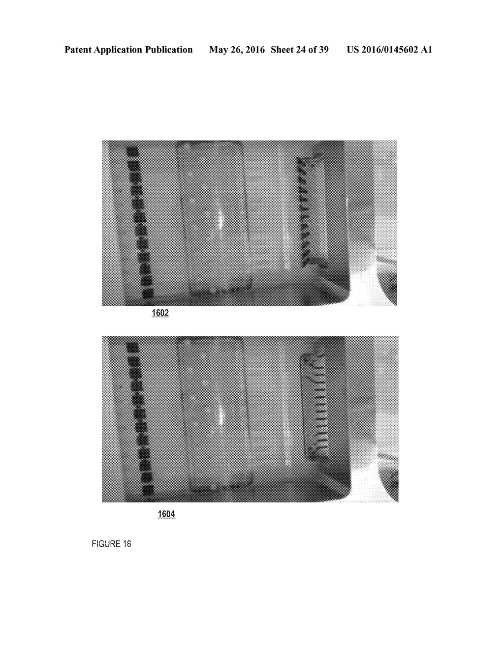 METHODS AND APPARATUSES FOR GENE PURIFICATION AND IMAGING - diagram, schematic, and image 25