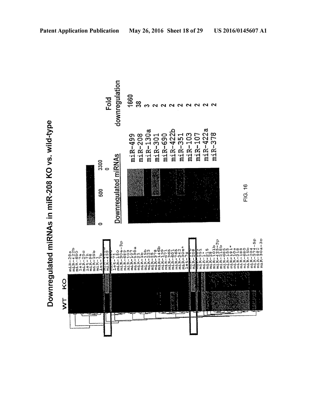 MICRO-RNA FAMILY THAT MODULATES FIBROSIS AND USES THEREOF - diagram, schematic, and image 19